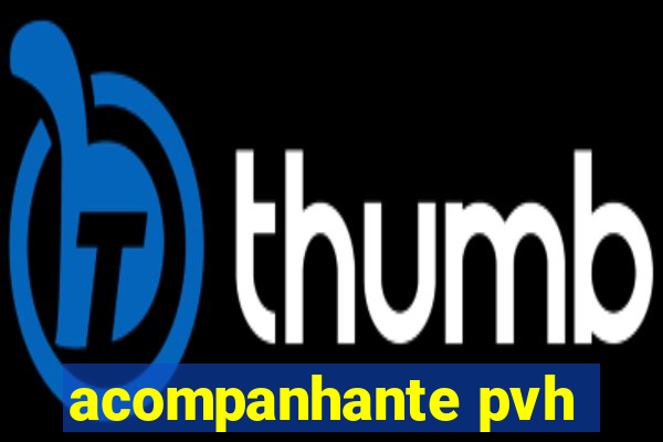 acompanhante pvh